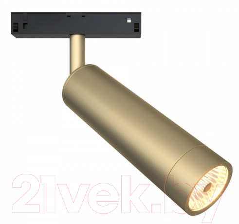Трековый светильник Maytoni Focus TR019-2-7W3K-MG