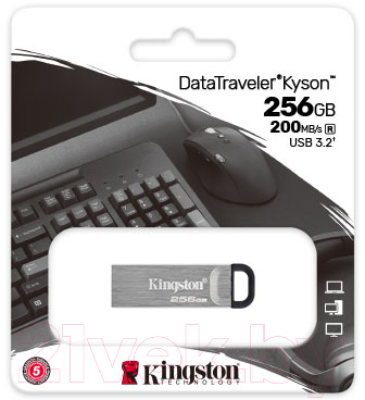 Usb flash накопитель Kingston Kyson 256GB USB 3.2 Gen 1 (DTKN/256GB)