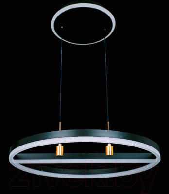 Потолочный светильник Natali Kovaltseva High-Tech Led Lamps 82048 (черный)