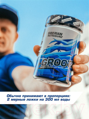 Комплексная пищевая добавка Siberian Nutrogunz Grootz / GRZ001 (250г, экзотик)