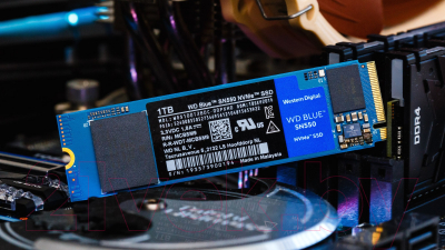 SSD диск Western Digital Blue SN550 NVMe 1TB (WDS100T2B0C)