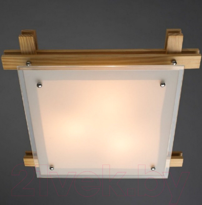 Потолочный светильник Arte Lamp Archimede A6460PL-3BR