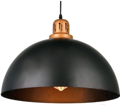 Потолочный светильник Arte Lamp Eurica A4249SP-1BK