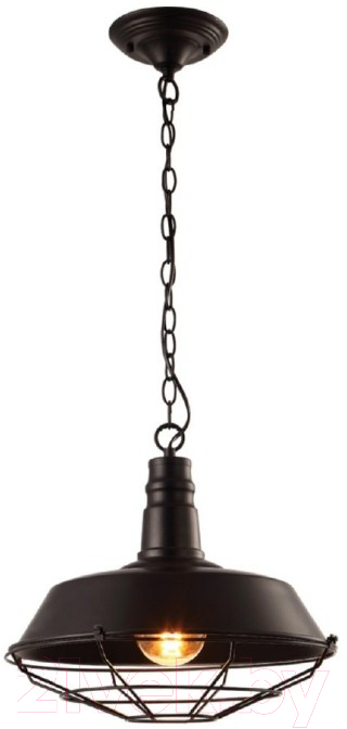 Потолочный светильник Arte Lamp Pandora Black A9183SP-1BK — фото 2