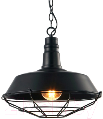 Потолочный светильник Arte Lamp Pandora Black A9183SP-1BK