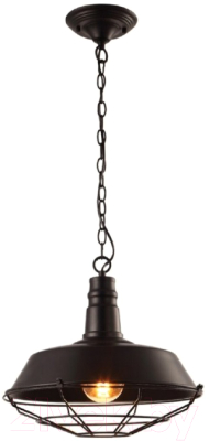Изображение товара Потолочный светильник Arte Lamp Pandora Black A9183SP-1BK
