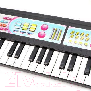 Музыкальная игрушка Наша игрушка Синтезатор / BL646