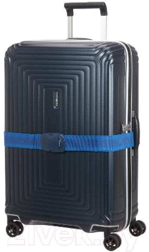 Ремень багажный Samsonite Global Ta CO1*11 056