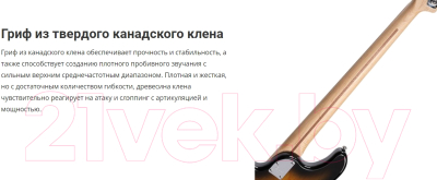 Изображение товара Резонаторная гитара Cort GB24JJ 2T