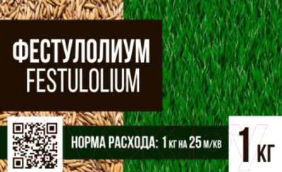 Семена газонной травы БЕРКУТ Фестулолиум (1кг)