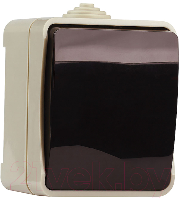 

Выключатель SmartBuy, Сатурн SBE-04w-10-SW1-0