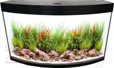 

Аквариум HydroTerra, Gloria