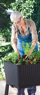 Изображение товара Грядка на ножках Keter Easy Grow на ножках / 230298 (графит)