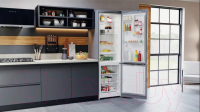 Холодильник с морозильником Hotpoint-Ariston HTS 4200 S