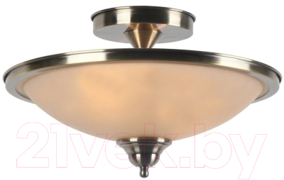

Потолочный светильник Arte Lamp, Safari A6905PL-2AB