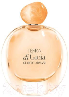 Парфюмерная вода Giorgio Armani Terra Di Gioia (100мл)