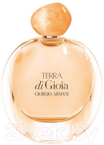 Парфюмерная вода Giorgio Armani Terra Di Gioia