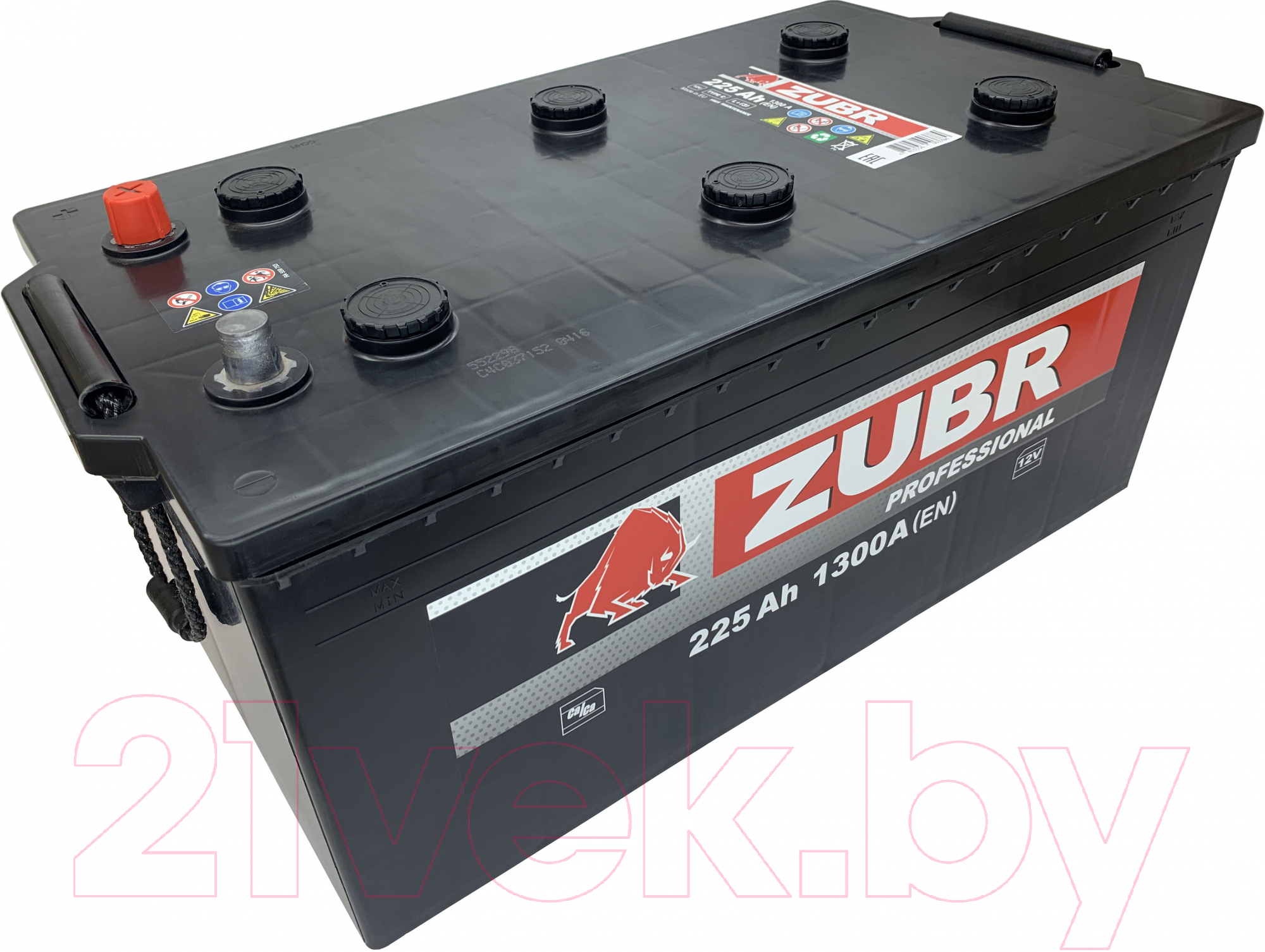 Zubr Professional L+ 225 А/ч Автомобильный аккумулятор купить в Минске,  Гомеле, Витебске, Могилеве, Бресте, Гродно