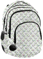 

Рюкзак Paso, PP21PN-2706