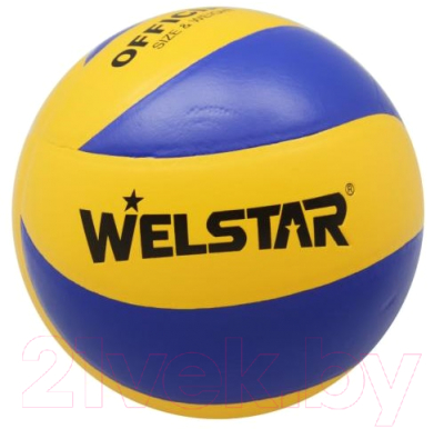 

Мяч волейбольный Welstar, VLPVC4407B