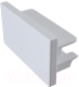 Заглушка для шинопровода Maytoni Accessories For Tracks TRA001EC-11W - 