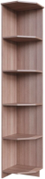 Угловое окончание для шкафа SV-мебель Город (ясень шимо темный/ясень шимо светлый) - 
