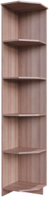 Угловое окончание для шкафа SV-мебель Город (ясень шимо темный/ясень шимо светлый)