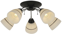 

Люстра Toplight, Winnifred TL1255D-05BC