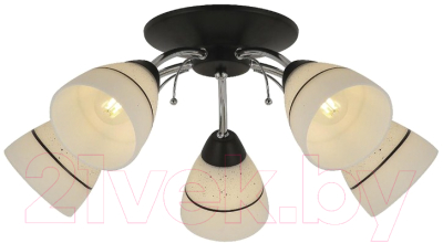 

Люстра Toplight, Winnifred TL1255D-05BC