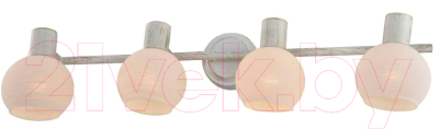 

Спот Toplight, Selena TL3710Y-04WG