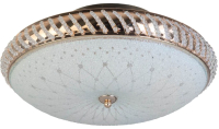 

Потолочный светильник Toplight, Loreen TL1491Y-04GC