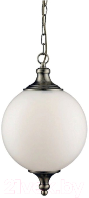 Потолочный светильник Arte Lamp Rimini A3051SP-1AB