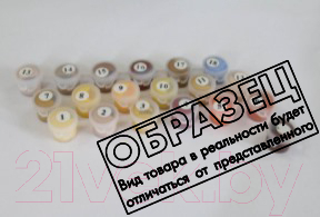Изображение товара Картина по номерам PaintBoy Звездное небо / GT66002