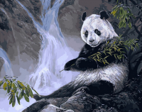 

Картина по номерам PaintBoy, Панда с бамбуком / GX8309
