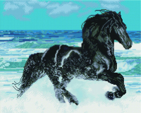 Набор алмазной вышивки PaintBoy Фризская лошадь / GF863 - 