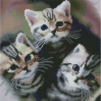 Набор алмазной вышивки PaintBoy Три котенка / HF019 - 