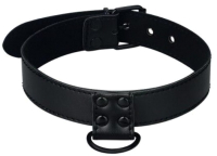 Ошейник БДСМ LoveToy Bondage Fetish Black Matt Collar With Leash / LV761003 (черный) - 