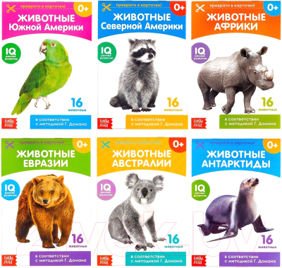 

Развивающие карточки Буква-ленд, Животные материков / 3445469