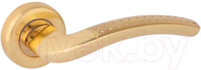 

Ручка дверная Leicht, GT-68 SG