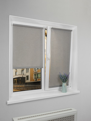 Рулонная штора Lm Decor Шайн LM 42-02 57x160 (серый) - 