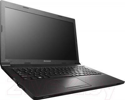 Ноутбук Lenovo B590 (59381366) - общий вид