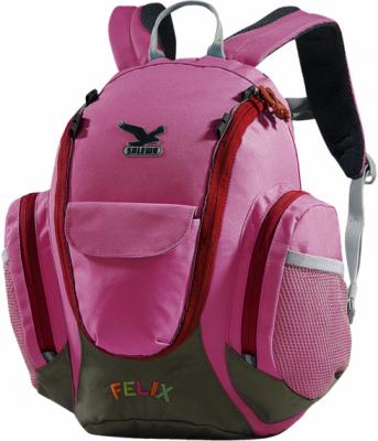 Школьный рюкзак Salewa Felix (Pink) - общий вид