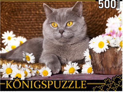 

Пазл РЫЖИЙ КОТ, Британский кот и ромашки / ШТK500-3576