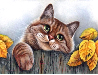 

Набор алмазной вышивки РЫЖИЙ КОТ, Красивый котик / ASM015