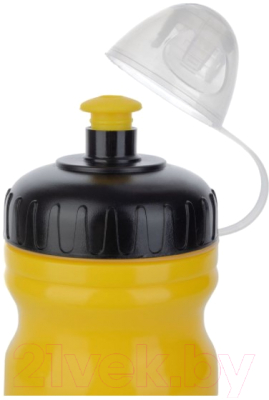 Бутылка для воды Stern ESTBO0162O / S19ESTBO016-2O (желтый)