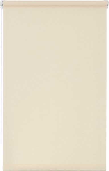 Рулонная штора Lm Decor Шайн LM 42-07 38x160 (молочный)