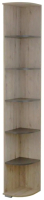 Угловое окончание для шкафа Bravo Мебель Имидж №6 (дуб бонифаций/вольфрам) - 