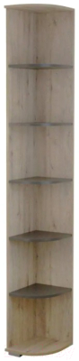 Угловое окончание для шкафа Bravo Мебель Имидж №6 (дуб бонифаций/вольфрам)