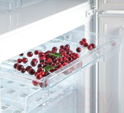 Холодильник с морозильником Snaige RF39SM-P0002F