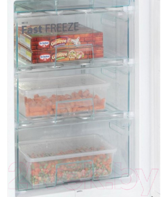 Холодильник с морозильником Snaige RF58SM-S5RP2F